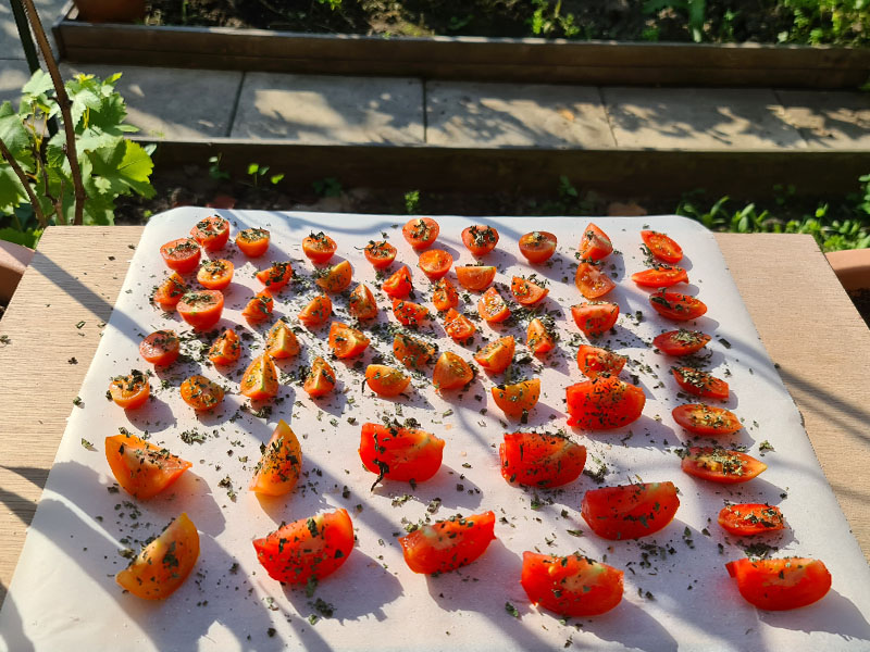 zongedroogde tomaat maken tomaten drogen in de zon tomaatjes zon drogen basilicum kruiden