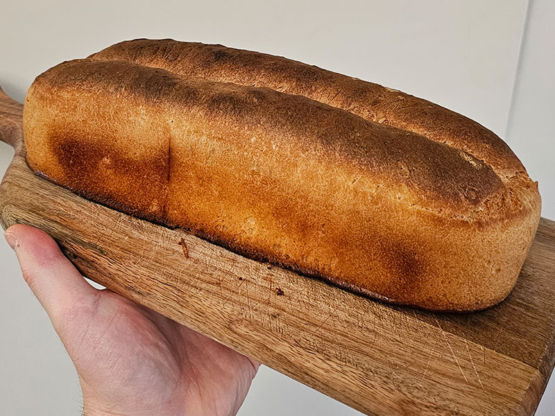 witbrood bakken tarwe gebruiken moestuin zelf brood bakken eigen tarwebloem tarwemeel gebruik