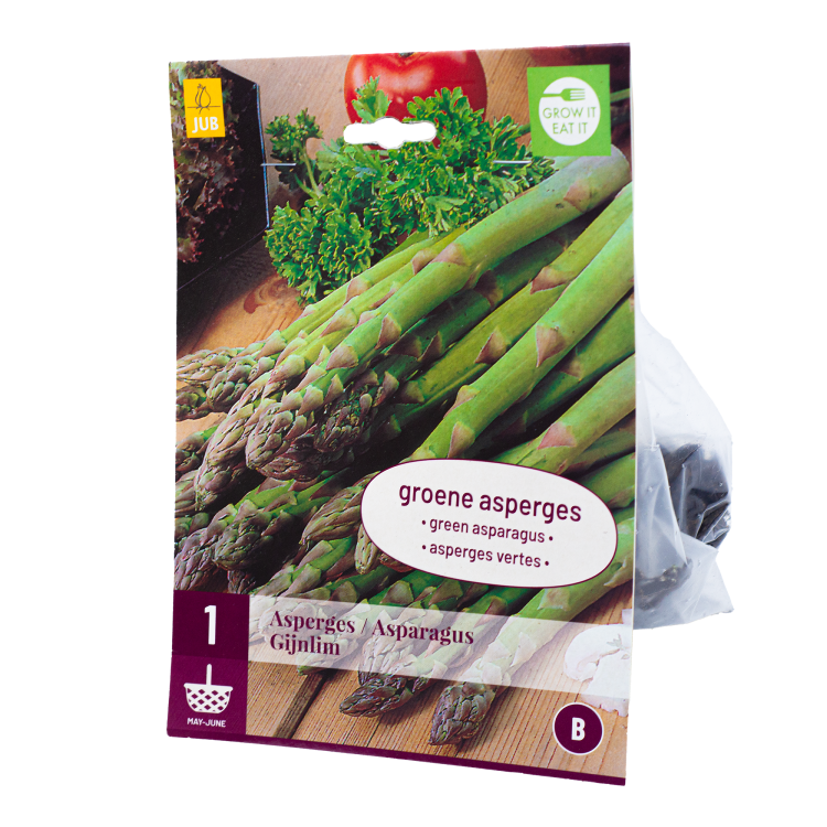 Wortelstok Asperge Gijnlim Groene