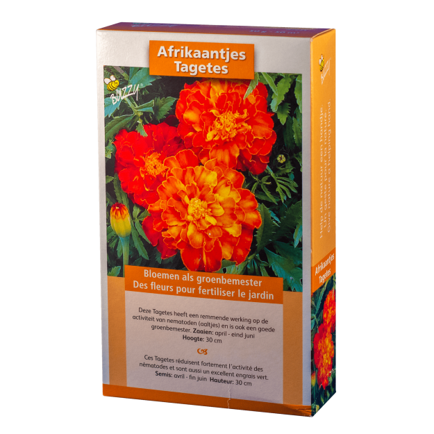 Afrikaantjes Tagetes patula nana