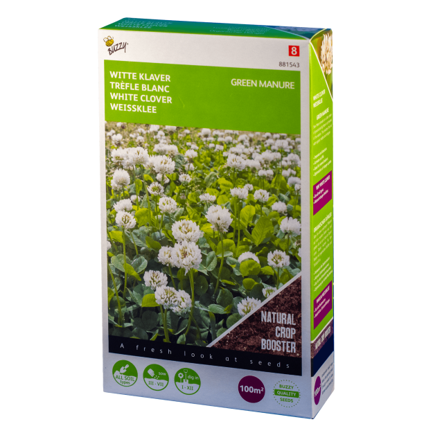 Witte klaver Trifolium repens