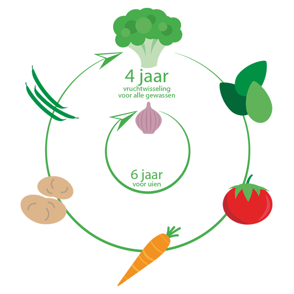 wat is wisselteelt gewasrotatie vruchtwisseling moestuin schema overzicht