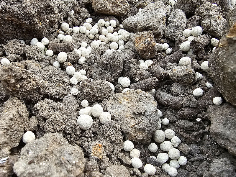 kalk korrels voor planten moestuin kalkkorrels kalk bolletjes